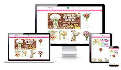 shiplapstore.shop Online Çiçek Sitesi